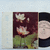 TSVETY (FLOWERS)
